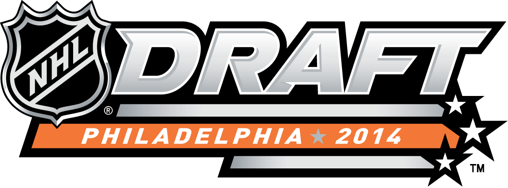 NHL Draft 2014 Alternate Logo t shirts iron on transfers